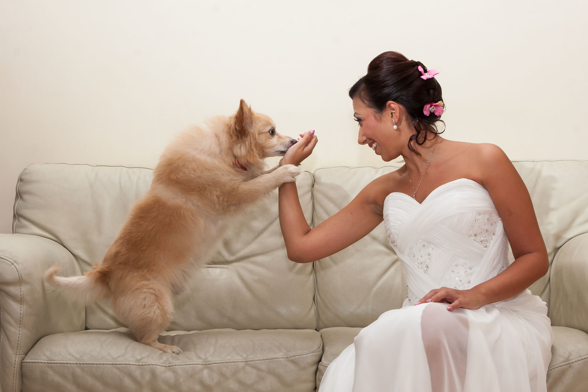 Reportage matrimonio Sicilia - ritratto spontaneo sposa col cane
